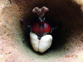 image2.jpeg